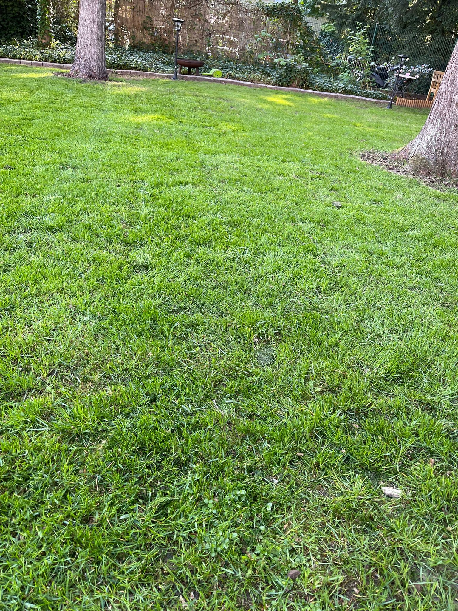 Gartenarbeiten